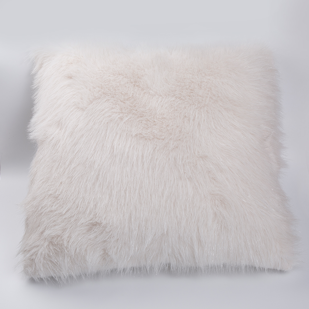 Velvet Cushion